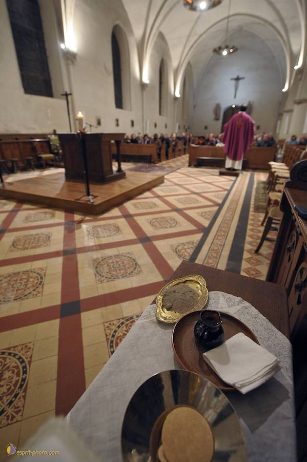 Nom de l'image : D30045813_1_(c)Norbert-JUNG — Description :